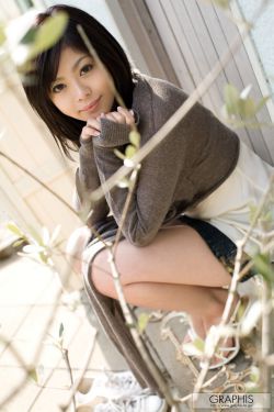 四海重明电视剧免费观看